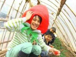 �T���v���C���[�W